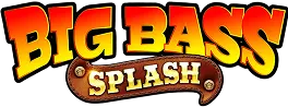 Logo www.bfinclusion.org.uk